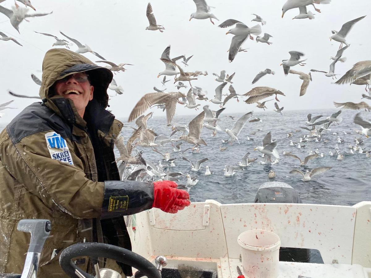 Rorbu I Lofoten レクネス エクステリア 写真