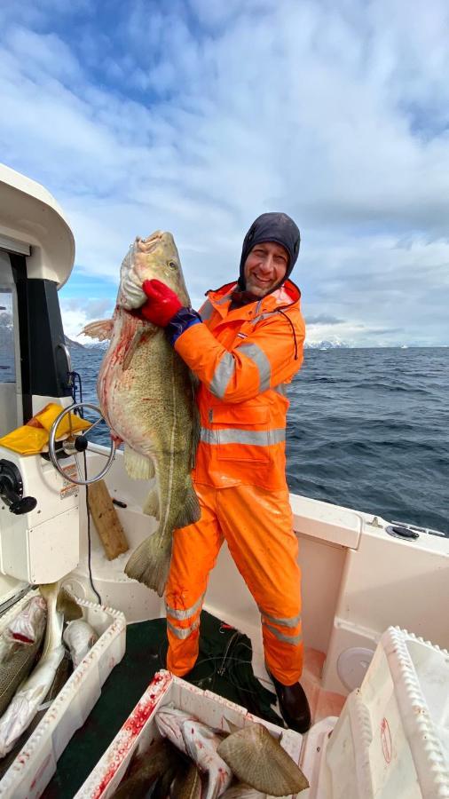Rorbu I Lofoten レクネス エクステリア 写真